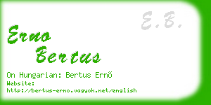 erno bertus business card